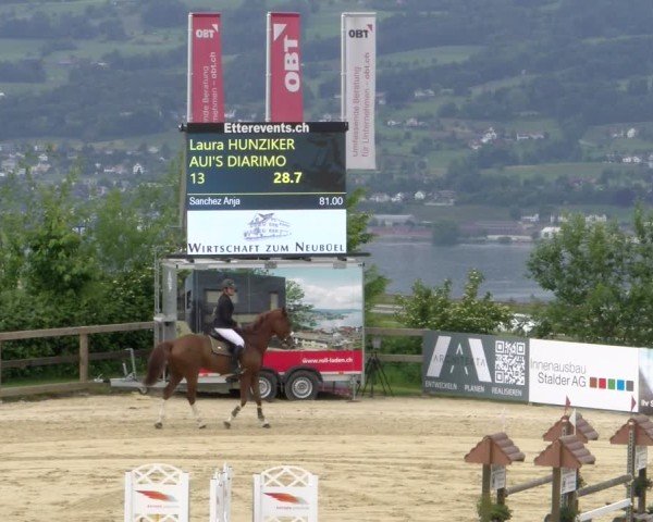 Reitturnier Wädenswil 2025