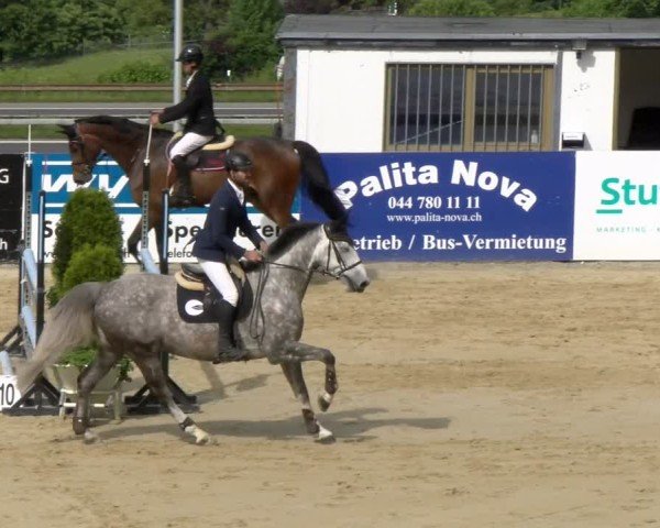 Reitturnier Wädenswil 2025