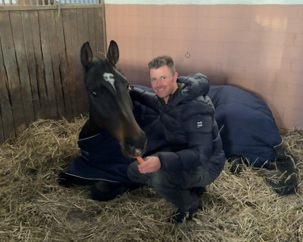 jumper King Loui 19 (Hanoverian, 2020, from Kjento)