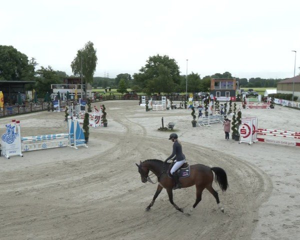 Reitturnier Kirchhellen/Stall Dieckmann 2025