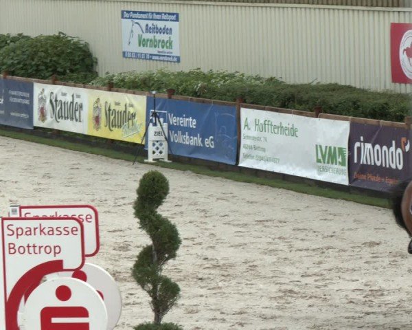 Reitturnier Kirchhellen/Stall Dieckmann 2025