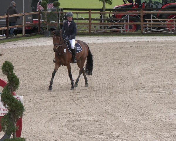 Reitturnier Kirchhellen/Stall Dieckmann 2025