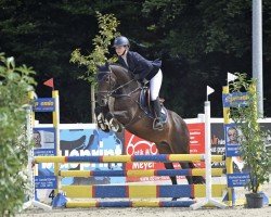 jumper Balou (Dutch Pony, 2015)