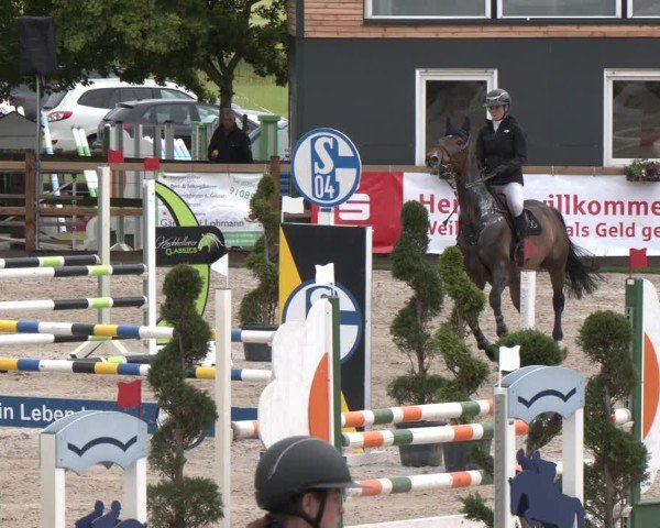 Reitturnier Kirchhellen/Stall Dieckmann 2025