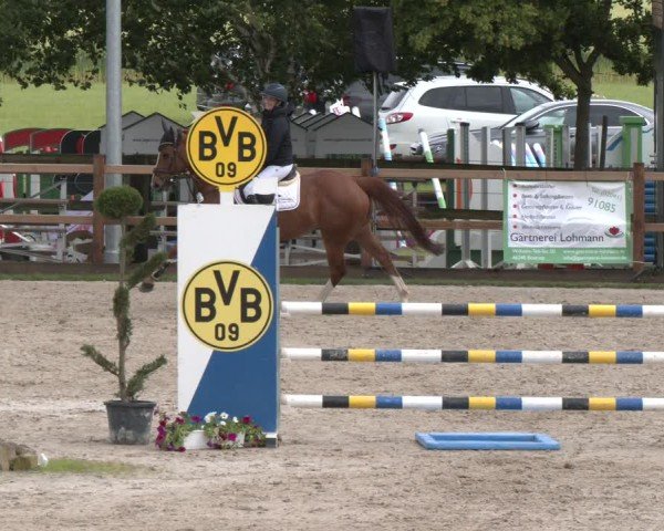 Reitturnier Kirchhellen/Stall Dieckmann 2025