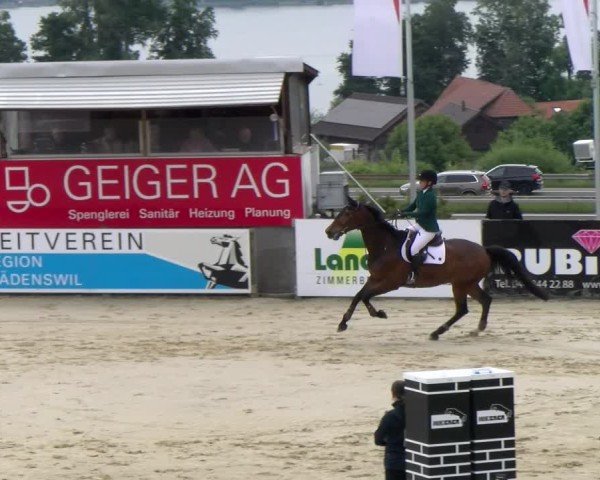 Reitturnier Wädenswil 2025