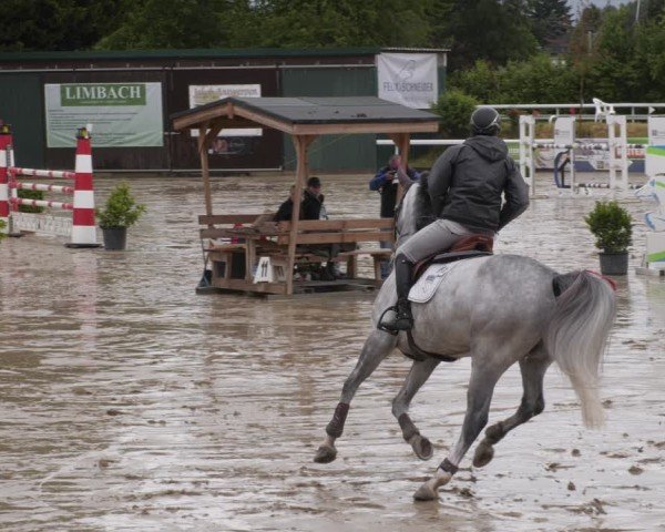Reitturnier Bornheim-Widdig 2025