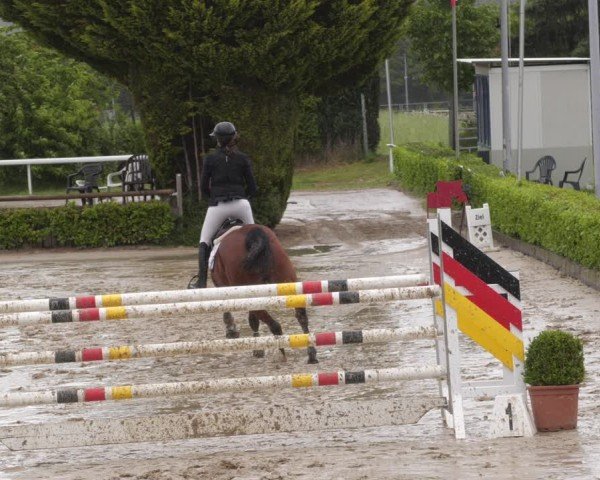 Reitturnier Bornheim-Widdig 2025