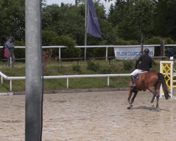 Reitturnier Bornheim-Widdig 2025