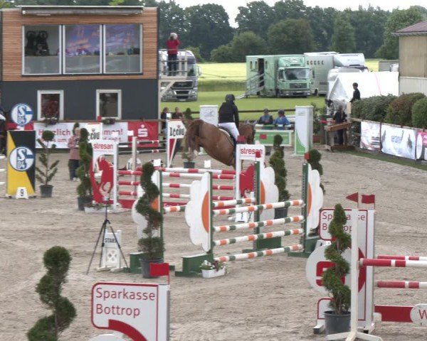 Reitturnier Kirchhellen/Stall Dieckmann 2025