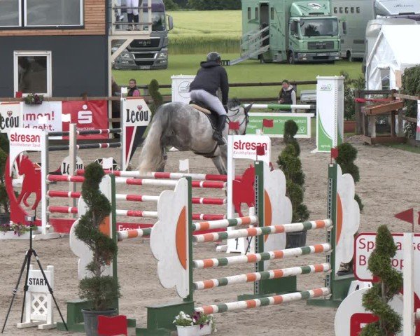 Reitturnier Kirchhellen/Stall Dieckmann 2025