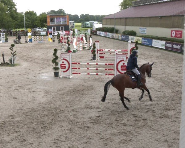 Reitturnier Kirchhellen/Stall Dieckmann 2025