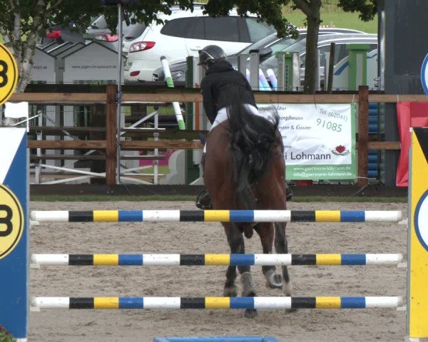 Reitturnier Kirchhellen/Stall Dieckmann 2025