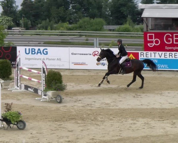 Reitturnier Wädenswil 2025