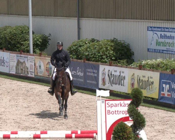 Reitturnier Kirchhellen/Stall Dieckmann 2025