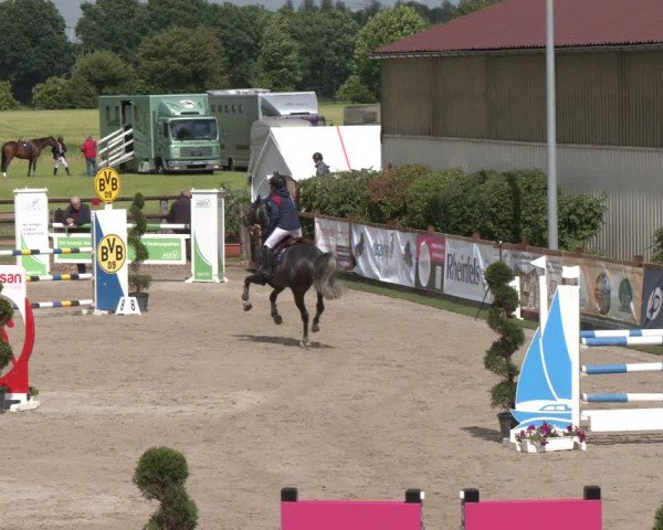 Reitturnier Kirchhellen/Stall Dieckmann 2025