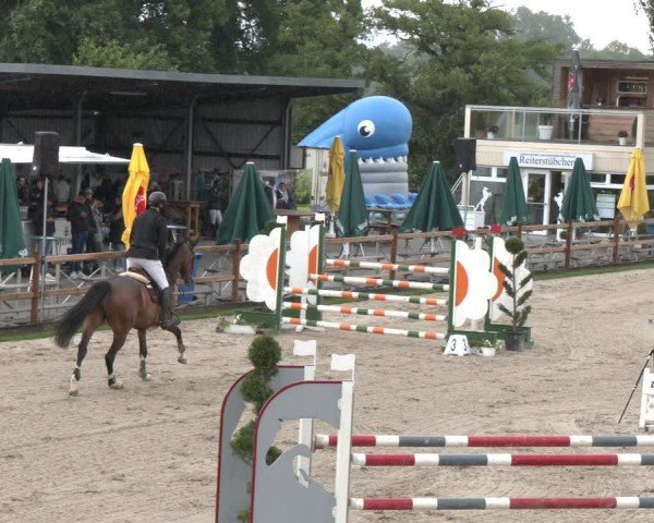 Reitturnier Kirchhellen/Stall Dieckmann 2025