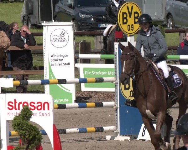 Reitturnier Kirchhellen/Stall Dieckmann 2025