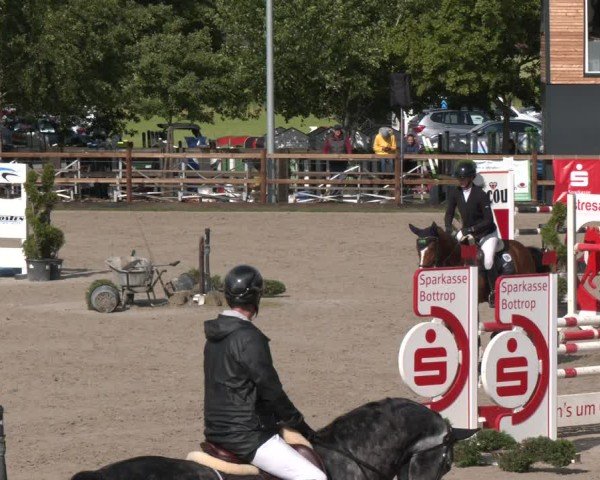 Reitturnier Kirchhellen/Stall Dieckmann 2025