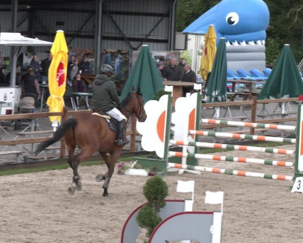 Reitturnier Kirchhellen/Stall Dieckmann 2025
