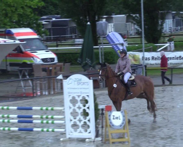 Reitturnier Hamm-Rhynern 2025
