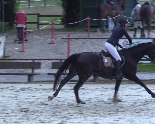Reitturnier Hamm-Rhynern 2025