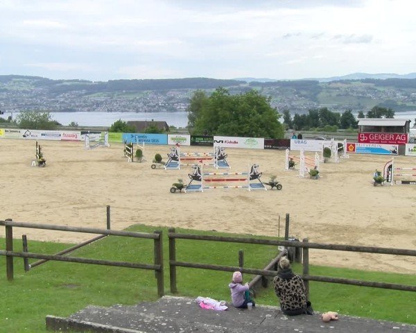 Reitturnier Wädenswil 2025