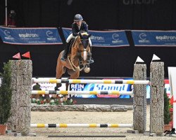 jumper Cancun 18 (German Sport Horse, 2012, from Catoki)