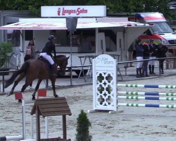 Reitturnier Hamm-Rhynern 2025