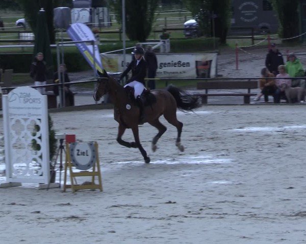 Reitturnier Hamm-Rhynern 2025