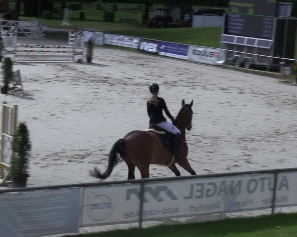 Reitturnier Hamm-Rhynern 2025