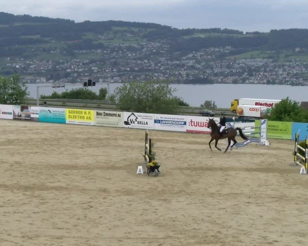Reitturnier Wädenswil 2025