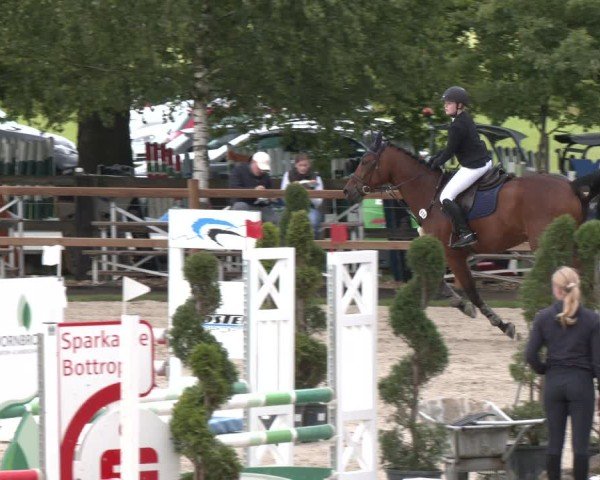 Reitturnier Kirchhellen/Stall Dieckmann 2025