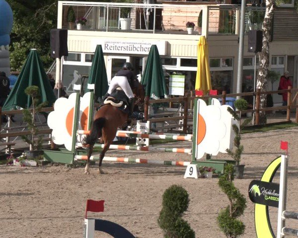 Reitturnier Kirchhellen/Stall Dieckmann 2025