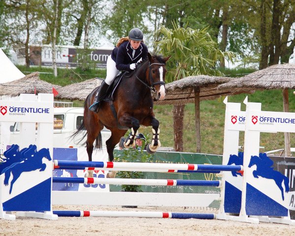 jumper Gintonik (Oldenburg, 2016, from Casiro I)