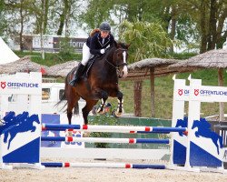 jumper Gintonik (Oldenburg, 2016, from Casiro I)