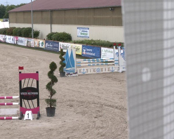 Reitturnier Kirchhellen/Stall Dieckmann 2025