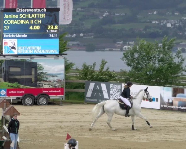 Reitturnier Wädenswil 2025