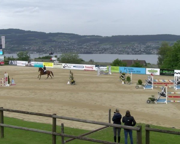 Reitturnier Wädenswil 2025