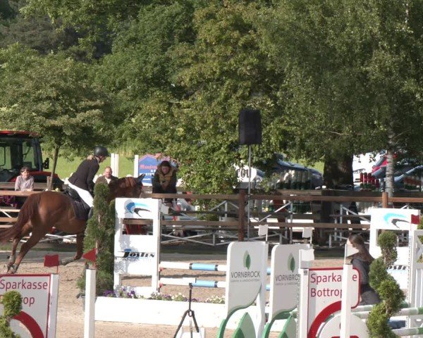 Reitturnier Kirchhellen/Stall Dieckmann 2025