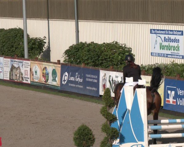 Reitturnier Kirchhellen/Stall Dieckmann 2025