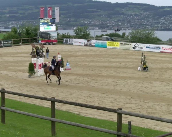 Reitturnier Wädenswil 2025