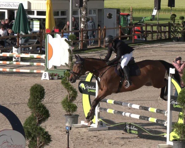 Reitturnier Kirchhellen/Stall Dieckmann 2025