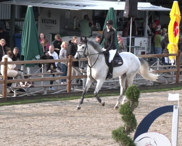 Reitturnier Kirchhellen/Stall Dieckmann 2025