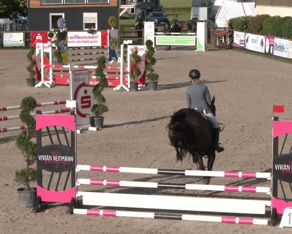 Reitturnier Kirchhellen/Stall Dieckmann 2025