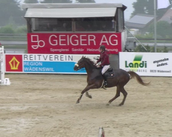 Reitturnier Wädenswil 2025