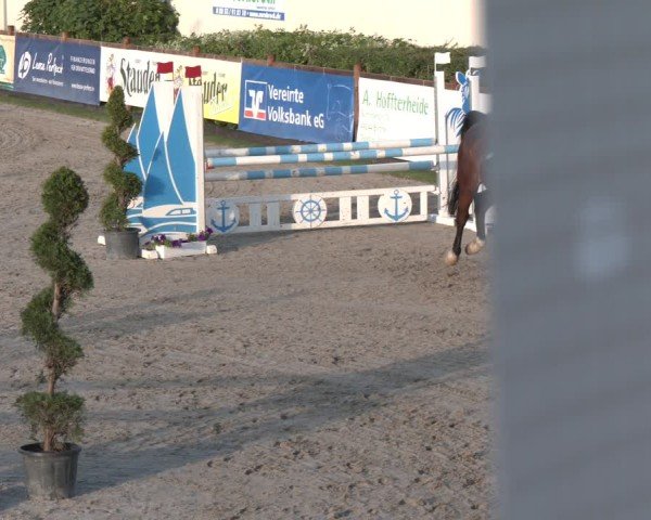 Reitturnier Kirchhellen/Stall Dieckmann 2025