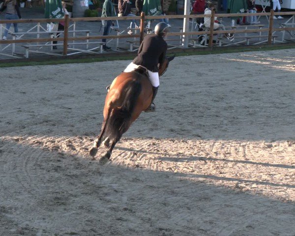 Reitturnier Kirchhellen/Stall Dieckmann 2025