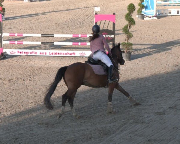 Reitturnier Kirchhellen/Stall Dieckmann 2025