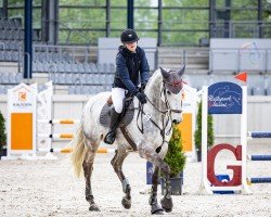jumper Lorenz van de Kapel (Belgium Sporthorse, 2017, from Clear Sky du Sud Z)